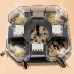 Tokai, a 4 -way miracle cockroaches for safety and clean, hygienic For a good life