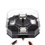 Tokai, a 4 -way miracle cockroaches for safety and clean, hygienic For a good life