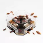 Tokai, a 4 -way miracle cockroaches for safety and clean, hygienic For a good life
