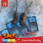 Narita Japanese rat trap