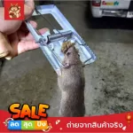 Narita Japanese rat trap