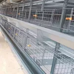Step chicken cage covers Professional automatic breeding equipment is standard, modern, using large and large machinery.