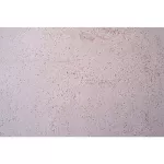 New Type Coating Negative Ion Coating05