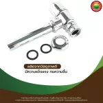 กระปุก ท่อ น้ำ ทิ้ง อ่าง ล้างหน้า พีวีซี ชุบ ทองเลือง โครเมียม สี ขาว เงิน BOTTLE TRAP ชาร์ป ระบาย น้ำ ทิ้ง โลหะ มิตสห