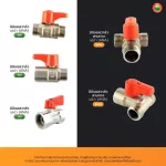 มินิบอลวาล์ว 2 ทาง 3 ทาง เอน่า ผผ. ผม. มม. ผผผ. ผมผ. MINI BALL VALVE มิตสห