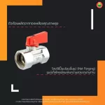 มินิบอลวาล์ว 2 ทาง 3 ทาง เอน่า ผผ. ผม. มม. ผผผ. ผมผ. MINI BALL VALVE มิตสห