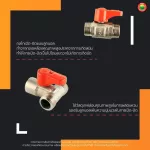 มินิบอลวาล์ว 2 ทาง 3 ทาง เอน่า ผผ. ผม. มม. ผผผ. ผมผ. MINI BALL VALVE มิตสห