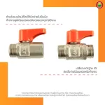 มินิบอลวาล์ว 2 ทาง 3 ทาง เอน่า ผผ. ผม. มม. ผผผ. ผมผ. MINI BALL VALVE มิตสห