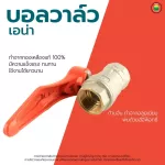 บอลวาล์ว ทองเหลือง ซันวา Sanwa รูเต็ม เอน่า ANA BALL VALVE 2 ทาง วาล์ว น้ำ ปั๊มน้ำ มิตสห