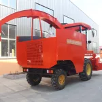 Private green plants, green plants, multi -purpose and adaptation