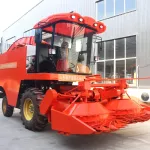 Private green plants, green plants, multi -purpose and adaptation