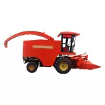 Private green plants, green plants, multi -purpose and adaptation