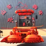 Private green plants, green plants, multi -purpose and adaptation