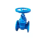 ซีลแข็ง วาล์วประตูหน้าแปลนก้านปกปิด