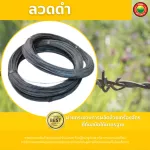ลวดสปริงสแตนเลส ขายเป็นม้วน Black Annealed Wire ลวดเป็น ลวดสแตนเลส ลวดสปริง สเตนเลส ลวดเติม ลวดป้อน ลวดอาร์กอน ลวดดำ ลวดมัด ลวดผูกเหล็ก มิตสห Mitsaha
