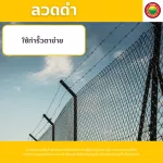 ลวดสปริงสแตนเลส ขายเป็นม้วน Black Annealed Wire ลวดเป็น ลวดสแตนเลส ลวดสปริง สเตนเลส ลวดเติม ลวดป้อน ลวดอาร์กอน ลวดดำ ลวดมัด ลวดผูกเหล็ก มิตสห Mitsaha