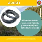 ลวดสปริงสแตนเลส ขายเป็นม้วน Black Annealed Wire ลวดเป็น ลวดสแตนเลส ลวดสปริง สเตนเลส ลวดเติม ลวดป้อน ลวดอาร์กอน ลวดดำ ลวดมัด ลวดผูกเหล็ก มิตสห Mitsaha