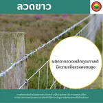 ลวดสังกะสี ลวดขาว เบอร์18 Galvanized Wire ลวดสังกะสี ลวดชุป ลวดขด ลวดอลูมิเนียม ลวดเติม ลวดป้อน ลวดป่อน ลวดม้วน ลวดสปริงสแตนเลส ดัดบอนไซ มิตสห Mitsaha