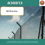 ลวดสังกะสี ลวดขาว เบอร์18 Galvanized Wire ลวดสังกะสี ลวดชุป ลวดขด ลวดอลูมิเนียม ลวดเติม ลวดป้อน ลวดป่อน ลวดม้วน ลวดสปริงสแตนเลส ดัดบอนไซ มิตสห Mitsaha
