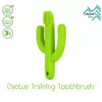 Pepper's Home model Cactus Training Toothbrush