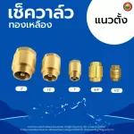 เช็ควาล์ว ทองเหลือง แนวตั้ง นอน สปริง BRASS CHECK VALVE มิตสห