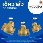 เช็ควาล์ว ทองเหลือง แนวตั้ง นอน สปริง BRASS CHECK VALVE มิตสห