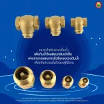 เช็ควาล์ว ทองเหลือง แนวตั้ง นอน สปริง BRASS CHECK VALVE มิตสห