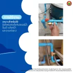 เช็ควาล์ว ทองเหลือง แนวตั้ง นอน สปริง BRASS CHECK VALVE มิตสห