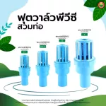 ฟุตวาล์ว พีวีซี PVC หัวกะโหลก PVC FOOT VALVE ลิ้นสปริง ดูด ปั๊มน้ำ กันรั่ว มิตสห