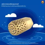 ฟุตวาล์ว ทองเหลือง รังผึ้ง หัวกะโหลก BRASS FOOT VALVE สปริง ดูดน้ำ ปั๊มน้ำ กันรั่ว มิตสห