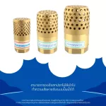 ฟุตวาล์ว ทองเหลือง รังผึ้ง หัวกะโหลก BRASS FOOT VALVE สปริง ดูดน้ำ ปั๊มน้ำ กันรั่ว มิตสห