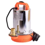 DC Solar Pump Vergin ZCL-12 DC DC, DiVO, Dip Pump, Diamond Diamond, Aluminum 12V 300W