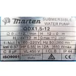 1 inch DiVo pump marten QDX1.5-12-0.37