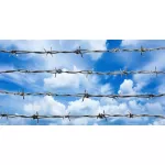 Barbarm coated with hot galvanized galvanized, rust number 16, length 200m / number 14, length 120m Barbed wire surrounded the fence Double barbed wire