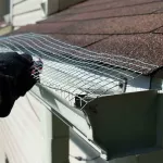 JT09 Rusty Wire Rusty Galvanized Eye Wire 1/4 Inch Wire 0.55-1 mm Length 10-30 meters / 90cm-120cm Height Steel Bird Cage Nok Swan Jade Parrot Marcer