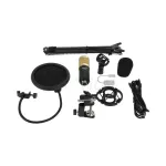 Microphone Condenser OKER M887 Black/Goldby JD Superxstore