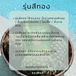 Best-Seller Set 4 น้ำตาลหล่อฮั่งก๊วยไร่หวาน ออแกนิค100%  0 แคลอรี่ 0 ดัชนีน้ำตาล  คีโตผู้ป่วยเบาหวานหวานกลมกล่อม