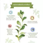 ไซรัปคีโต ไซรัปหญ้าหวาน stevia syrup ขนาดพกพา 40ml.สูตรใหม่สีเหลืองใส