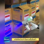 Easy & SAFE Disinction Set, ATOMIZER sprayer with disinfectant, ready to use Ecolab 22-MULTIQUAT Sanitizer