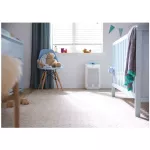 Philips PHILIPS Air Purifier Filters Viruses Household Formaldehyde Removal Smog Removal Allergen Removal Bacteria Removal AC1216/00 AC1215