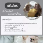 เครื่องโอโซน เครื่องผลิตโอโซน Glory Hi-800i ล้างผัก ฆ่าเชื้อ ล้างสารตกค้าง ดับกลิ่นไม่พึงประสงค์