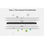 Air Purifier Formaldehyde Edition Filter+ Carbon Filter Formaldehyde green