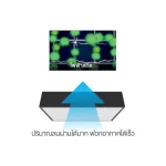 DAIKIN 41 sq.m. air purifier Model MCK55TVM6