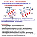 SKG 5 liters of ion system, white FL-5A model