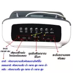 SKG 5 liters of ion system, white FL-5A model