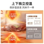 Household Multi -Functions Small oven Introduction temperature, 20L, bake the timer cake Control the freedom temperature up and down.