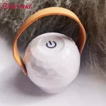 Costway New Usb Portable Cat T Rer Electric Clothes Pi Sweater Trimmer T Pts Aver Fluff Cut Machine