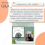 Best-Seller Set 3 น้ำตาลหล่อฮั่งก๊วยไร่หวาน ออแกนิค100%  0 แคลอรี่ 0 ดัชนีน้ำตาล  คีโตผู้ป่วยเบาหวานหวานกลมกล่อม