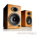 Audioengine: A5+ Wireless (Bamboo) by Millionhead (Wireless Speaker Price is in the middle level. But can be assured that it is definitely worth it with Audioengine brand)
