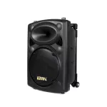 BIK : USK-10VN by Millionhead (ตู้อเนกประสงค์ พร้อมไมค์ลอยแบบมือถือให้ 2 ตัว บันทึกเสียงจากไมโครโฟนเป็นไฟล์ MP3 ได้ มีฟังค์ชั่นตัดเสียงเพลงอัตโนมัติ)